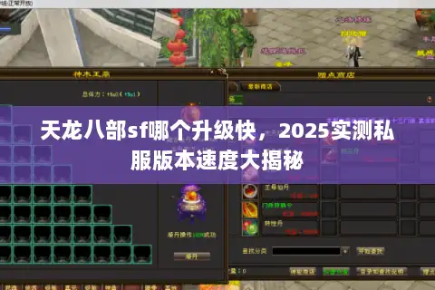 天龙八部sf哪个升级快，2025实测私服版本速度大揭秘