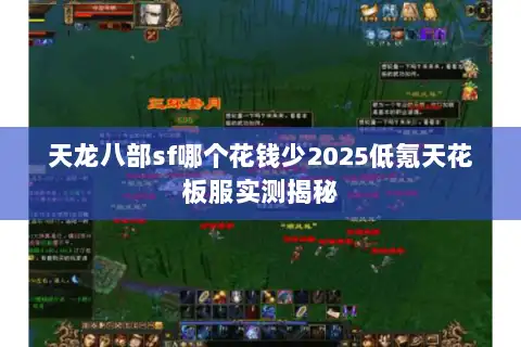 天龙八部sf哪个花钱少2025低氪天花板服实测揭秘