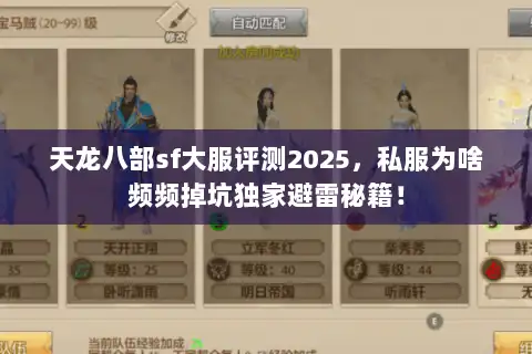 天龙八部sf大服评测2025，私服为啥频频掉坑独家避雷秘籍！