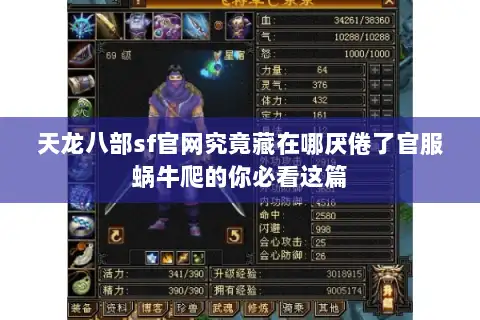 天龙八部sf官网究竟藏在哪厌倦了官服蜗牛爬的你必看这篇 天龙八部sf官网究竟藏在哪厌倦了官服蜗牛爬的你必看这篇