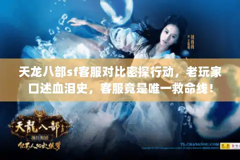 天龙八部sf客服对比密探行动，老玩家口述血泪史，客服竟是唯一救命线！