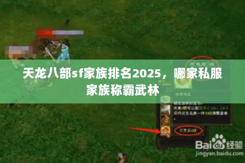 天龙八部sf家族排名2025，哪家私服家族称霸武林