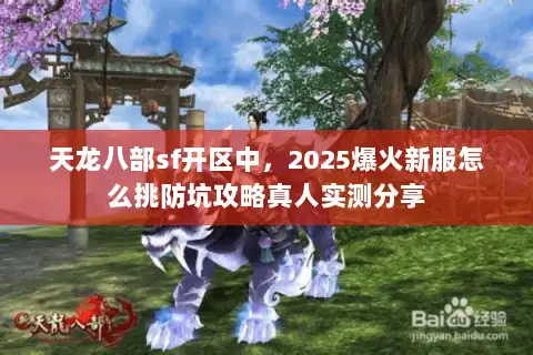 天龙八部sf开区中，2025爆火新服怎么挑防坑攻略真人实测分享