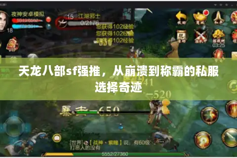 天龙八部sf强推，从崩溃到称霸的私服选择奇迹