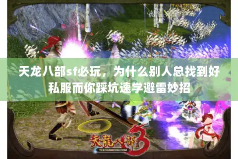 天龙八部sf必玩，为什么别人总找到好私服而你踩坑速学避雷妙招
