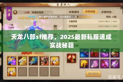 天龙八部sf推荐,2025最新私服速成实战秘籍 天龙八部sf推荐,2025最新私服速成实战秘籍