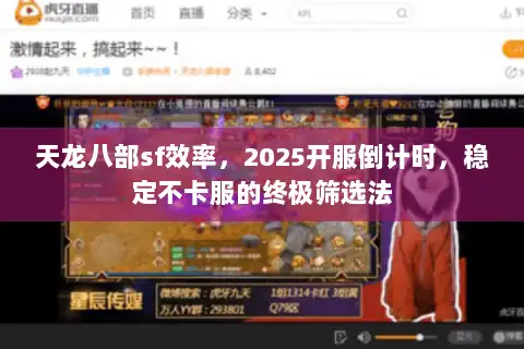 天龙八部sf效率，2025开服倒计时，稳定不卡服的终极筛选法