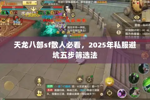 天龙八部sf散人必看，2025年私服避坑五步筛选法