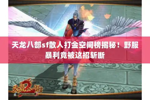 天龙八部sf散人打金空间榜揭秘！野服暴利竟被这招斩断