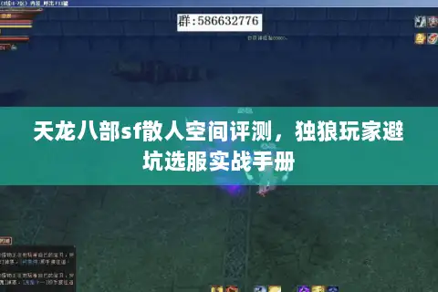 天龙八部sf散人空间评测，独狼玩家避坑选服实战手册
