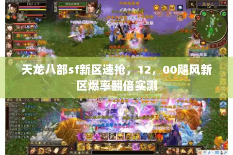 天龙八部sf新区速抢，12，00飓风新区爆率翻倍实测