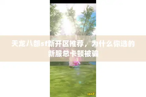 天龙八部sf新开区推荐，为什么你选的新服总卡顿被骗