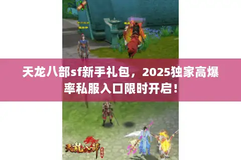 天龙八部sf新手礼包，2025独家高爆率私服入口限时开启！
