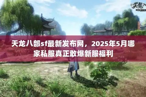 天龙八部sf最新发布网，2025年5月哪家私服真正敢爆新服福利