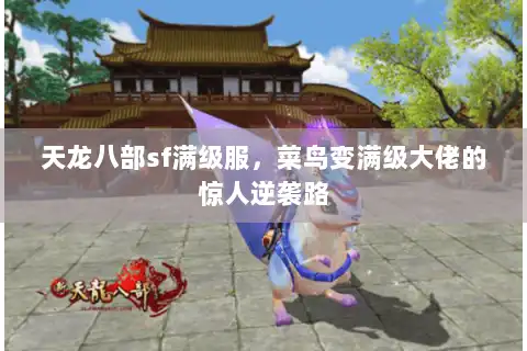 天龙八部sf满级服,菜鸟变满级大佬的惊人逆袭路 天龙八部sf满级服,菜鸟变满级大佬的惊人逆袭路