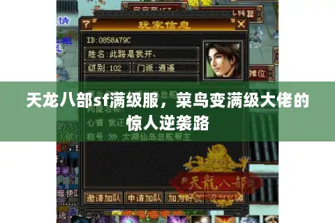 天龙八部sf满级服,菜鸟变满级大佬的惊人逆袭路 天龙八部sf满级服,菜鸟变满级大佬的惊人逆袭路