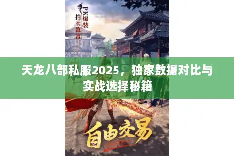 天龙八部私服2025，独家数据对比与实战选择秘籍