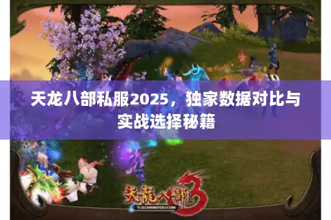 天龙八部私服2025，独家数据对比与实战选择秘籍