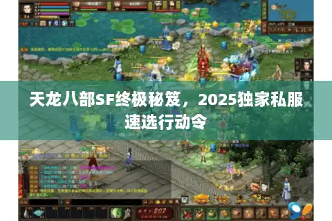 天龙八部SF终极秘笈,2025独家私服速选行动令 天龙八部SF终极秘笈,2025独家私服速选行动令