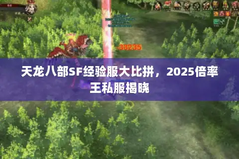 天龙八部SF经验服大比拼，2025倍率王私服揭晓