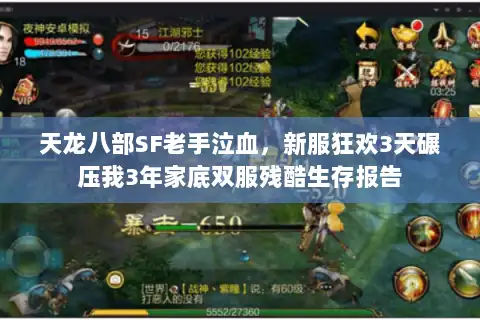 天龙八部SF老手泣血,新服狂欢3天碾压我3年家底双服残酷生存报告 天龙八部SF老手泣血,新服狂欢3天碾压我3年家底双服残酷生存报告