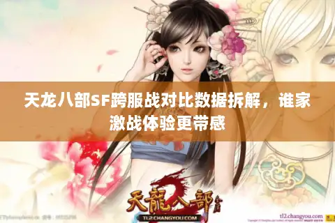 天龙八部SF跨服战对比数据拆解,谁家激战体验更带感 天龙八部SF跨服战对比数据拆解,谁家激战体验更带感