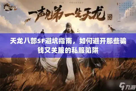 天龙八部SF避坑指南，如何避开那些骗钱又关服的私服陷阱