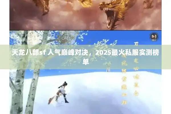 天龙八部sf 人气巅峰对决，2025最火私服实测榜单