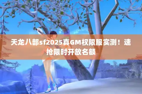 天龙八部sf2025真GM权限服实测！速抢限时开放名额