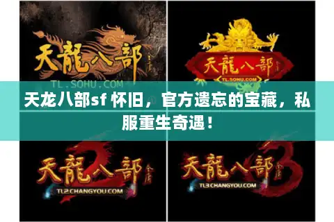 天龙八部sf 怀旧，官方遗忘的宝藏，私服重生奇遇！