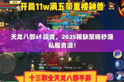 天龙八部sf 投资，2025稀缺策略秒赚私服资源！