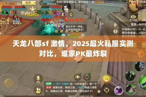 天龙八部sf 激情，2025超火私服实测对比，谁家PK最炸裂