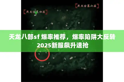 天龙八部sf 爆率推荐，爆率陷阱大反转 2025新服飙升速抢