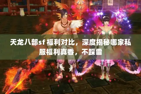 天龙八部sf 福利对比，深度揭秘哪家私服福利真香，不踩雷
