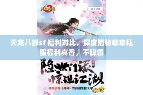 天龙八部sf 福利对比，深度揭秘哪家私服福利真香，不踩雷