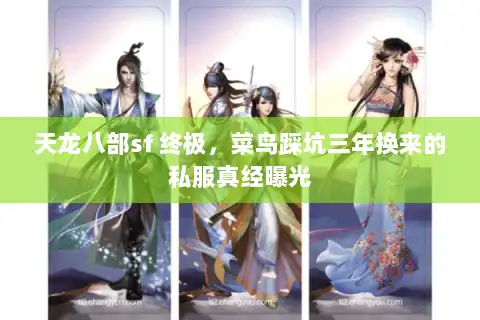 天龙八部sf 终极，菜鸟踩坑三年换来的私服真经曝光