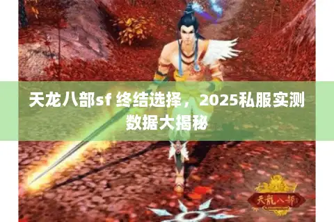 天龙八部sf 终结选择，2025私服实测数据大揭秘