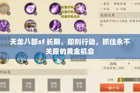 天龙八部sf 长期,即刻行动,抓住永不关服的黄金机会 天龙八部sf 长期,即刻行动,抓住永不关服的黄金机会