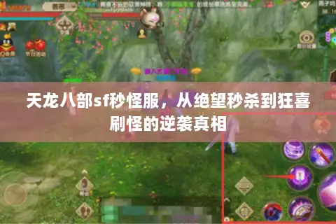 天龙八部sf秒怪服,从绝望秒杀到狂喜刷怪的逆袭真相 天龙八部sf秒怪服,从绝望秒杀到狂喜刷怪的逆袭真相