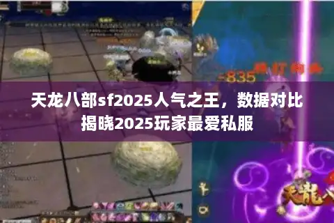 天龙八部sf2025人气之王，数据对比揭晓2025玩家最爱私服