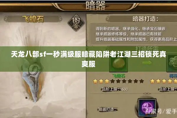 天龙八部sf一秒满级服暗藏陷阱老江湖三招锁死真爽服