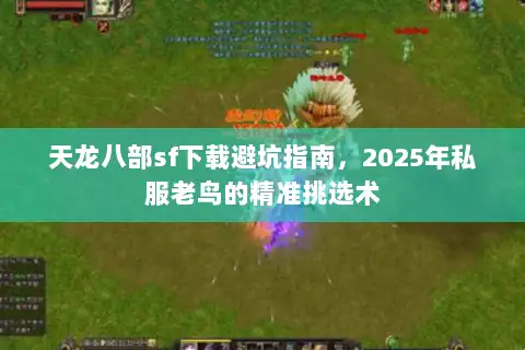 天龙八部sf下载避坑指南，2025年私服老鸟的精准挑选术
