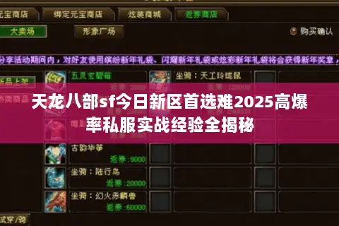 天龙八部sf今日新区首选难2025高爆率私服实战经验全揭秘