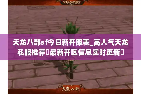 天龙八部sf今日新开服表_高人气天龙私服推荐▷最新开区信息实时更新◁