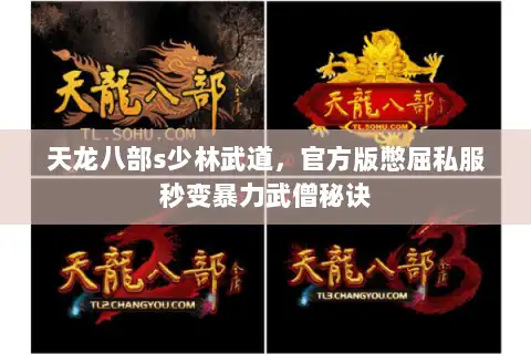 天龙八部s少林武道，官方版憋屈私服秒变暴力武僧秘诀