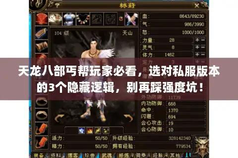 天龙八部丐帮玩家必看，选对私服版本的3个隐藏逻辑，别再踩强度坑！