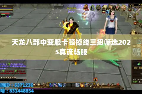 天龙八部中变服卡顿掉线三招筛选2025真流畅服