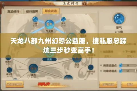 天龙八部九州幻想公益服,搜私服总踩坑三步秒变高手! 天龙八部九州幻想公益服,搜私服总踩坑三步秒变高手!