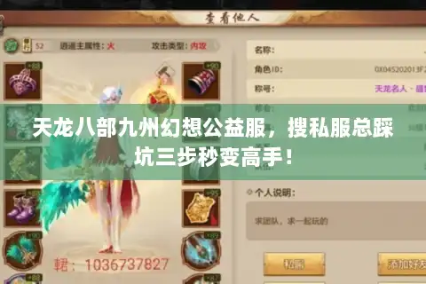 天龙八部九州幻想公益服,搜私服总踩坑三步秒变高手! 天龙八部九州幻想公益服,搜私服总踩坑三步秒变高手!