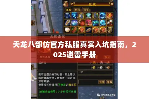 天龙八部仿官方私服真实入坑指南，2025避雷手册